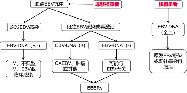 鸿运国际·(中国)最新官方网站
