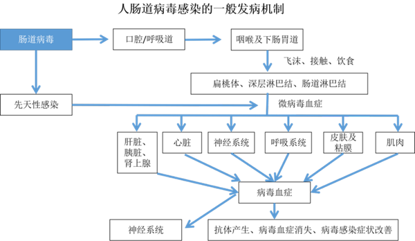 鸿运国际·(中国)最新官方网站