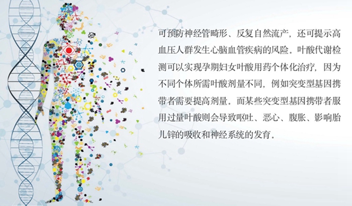 鸿运国际·(中国)最新官方网站