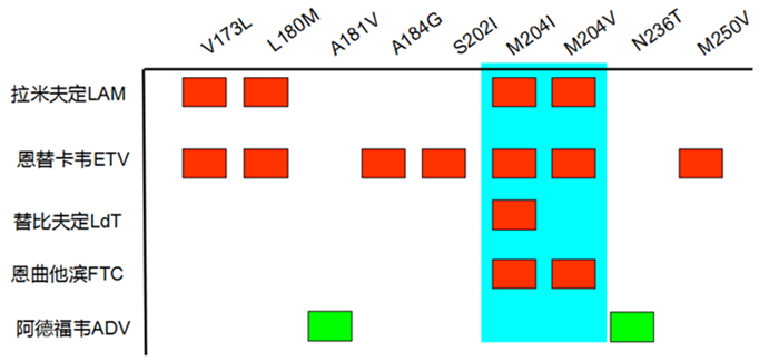 鸿运国际·(中国)最新官方网站