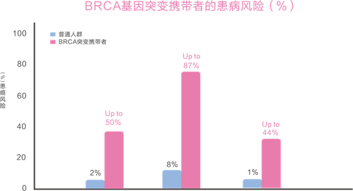 鸿运国际·(中国)最新官方网站