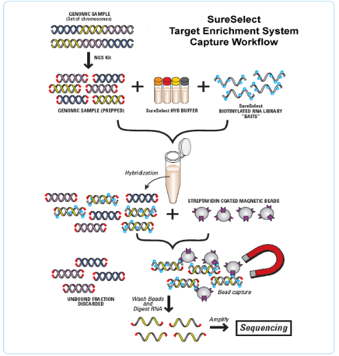 鸿运国际·(中国)最新官方网站