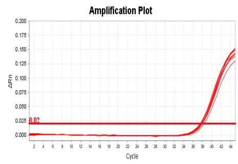 鸿运国际·(中国)最新官方网站