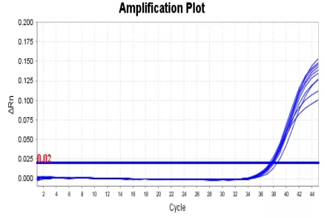 鸿运国际·(中国)最新官方网站