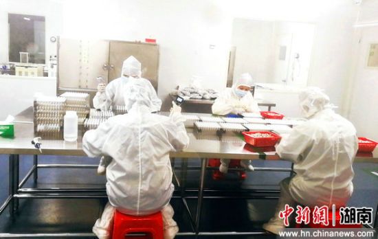 鸿运国际·(中国)最新官方网站