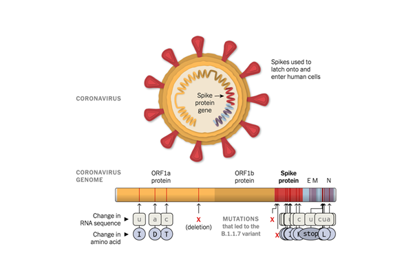 鸿运国际·(中国)最新官方网站