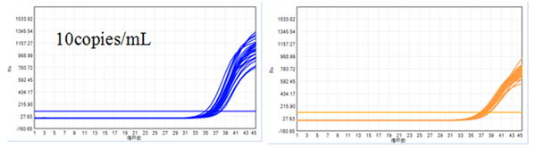 鸿运国际·(中国)最新官方网站