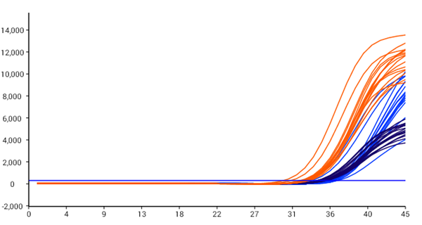 鸿运国际·(中国)最新官方网站