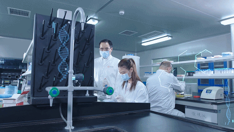 鸿运国际·(中国)最新官方网站