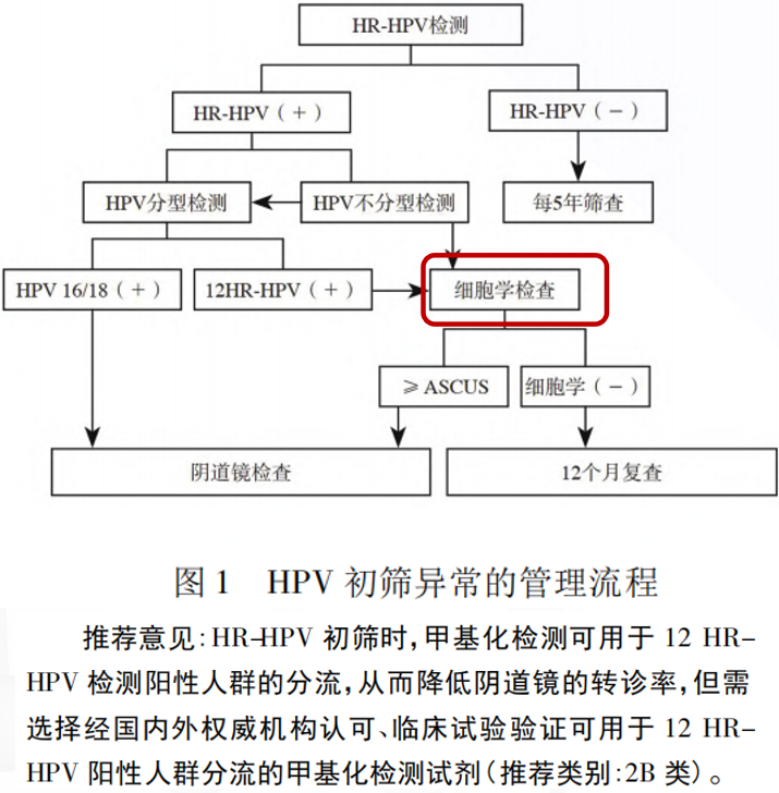 鸿运国际·(中国)最新官方网站